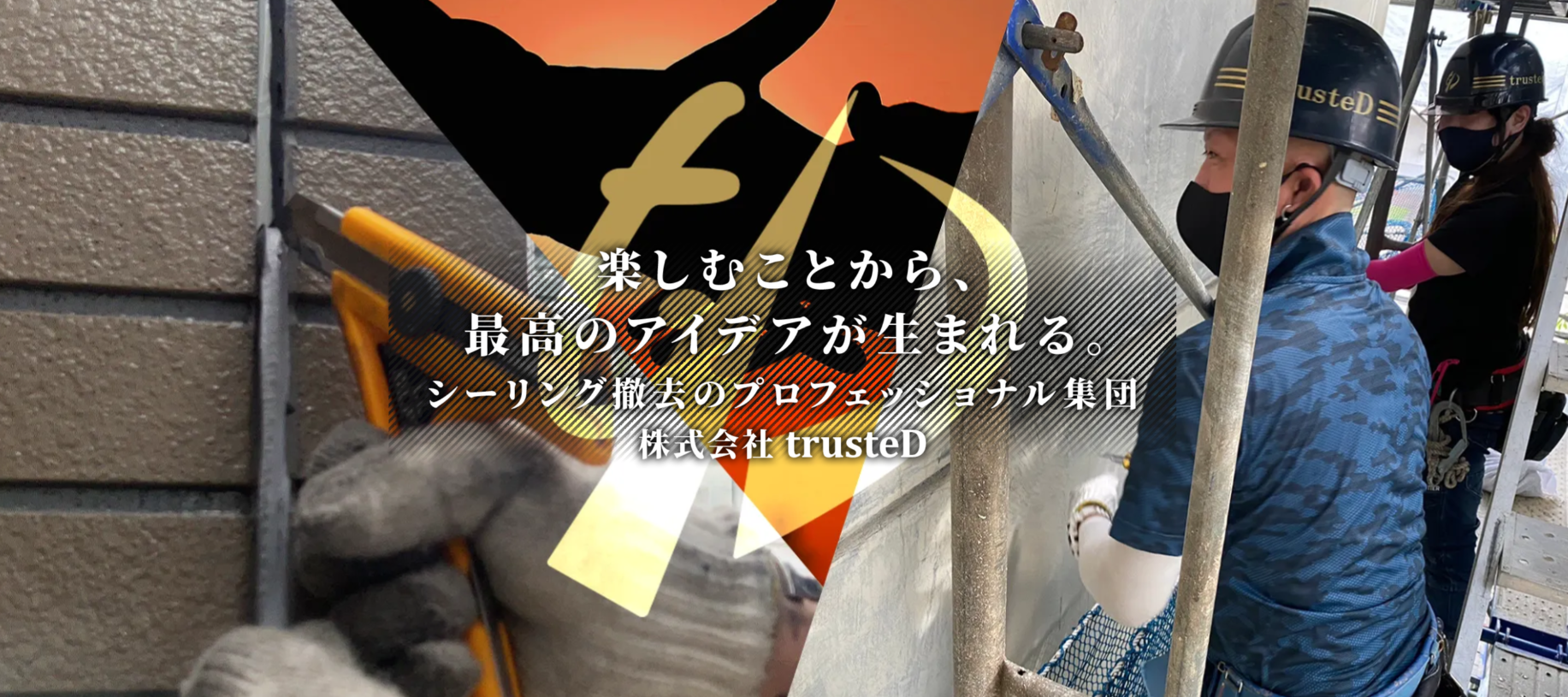 株式会社trusteD